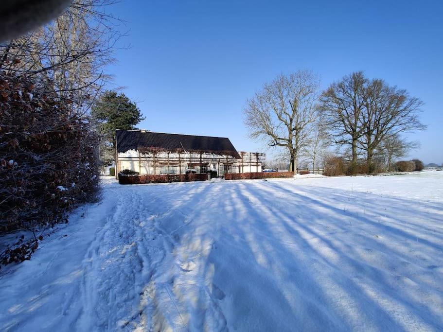 The Horst Cottage Holsbeek Zewnętrze zdjęcie