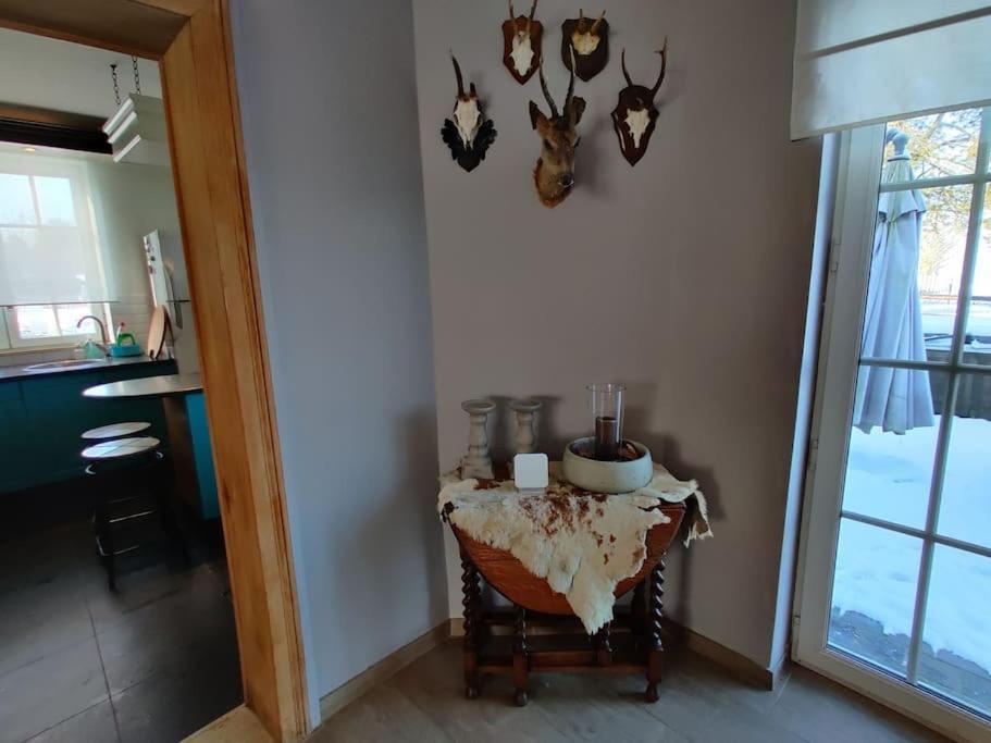 The Horst Cottage Holsbeek Zewnętrze zdjęcie