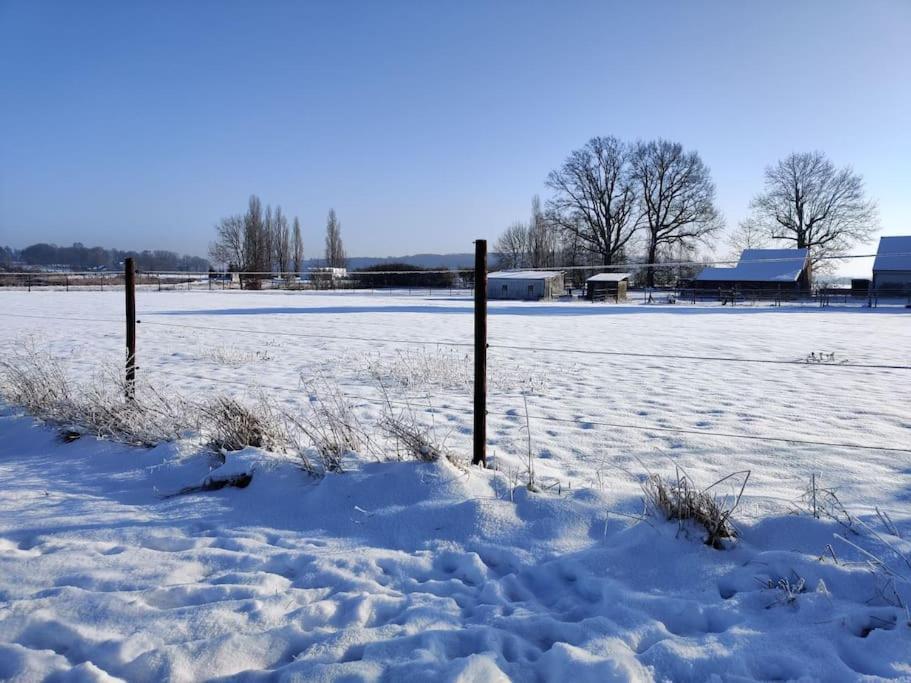 The Horst Cottage Holsbeek Zewnętrze zdjęcie